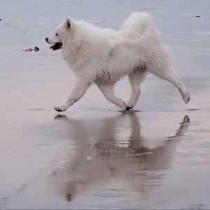 Meet your Posher, Kerryn